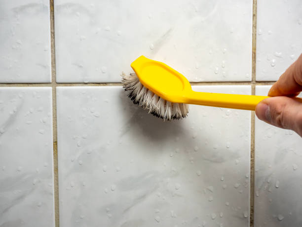Best Mold Removal Company Near Me  in Libertyvle, IL