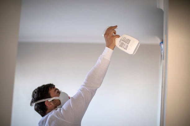 Best Mold Remediation  in Libertyvle, IL