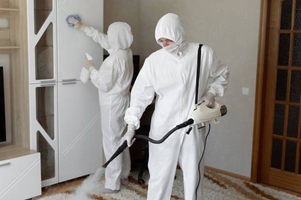 Best Mold Removal Process  in Libertyvle, IL
